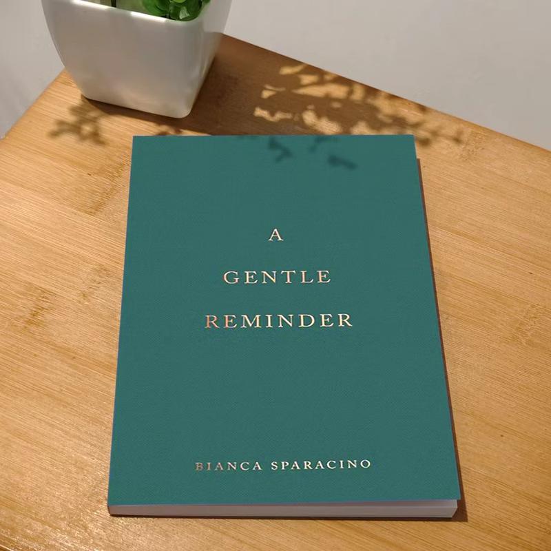 Product Introduction of A Gentle Reminder and The Strength in Our Scars by Bianca Sparacino, Original 100% English 13
