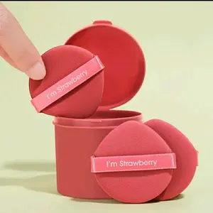 (ECER 1 PCS) SPONS AIR CUSHION /PUFF CUSHION ECER