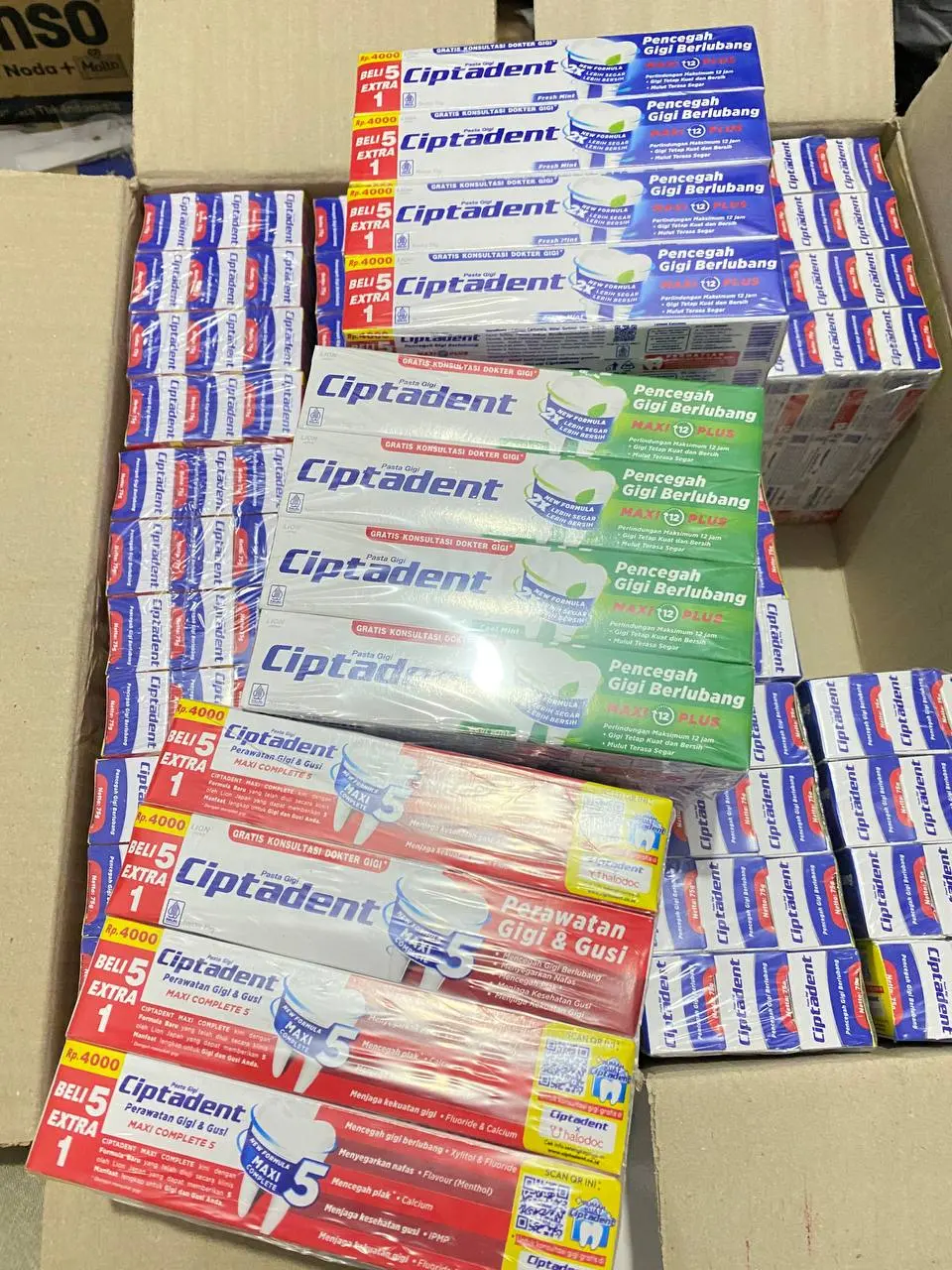 12 PCS - CIPTADEN PASTA GIGI - 75GRAM