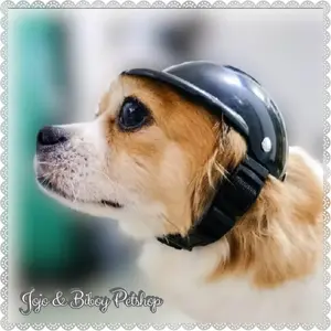 Helm Anjing Kucing - Pet Helmet - Helm Hewan Peliharaan Bahan Berkwalitas