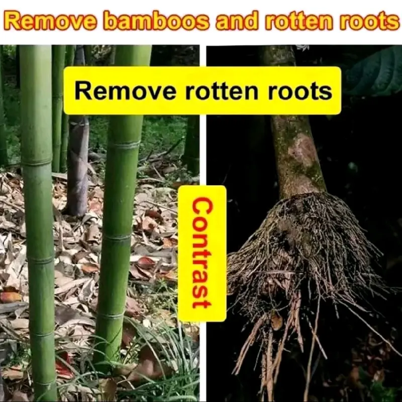 Bubuk weed killer racun rumput akar mati bisa semua jenis pohon dan bambu beli 1 gratis 1 2