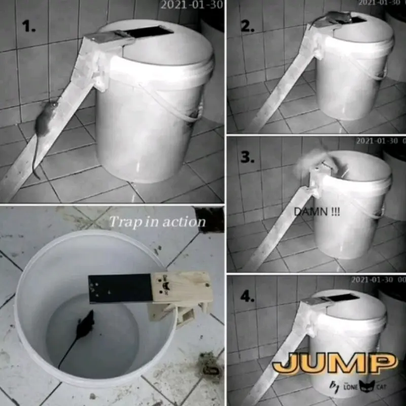 [COD] WALK PLANK MOUSE TRAP / JEBAKAN TIKUS BAHAN KAYU 1