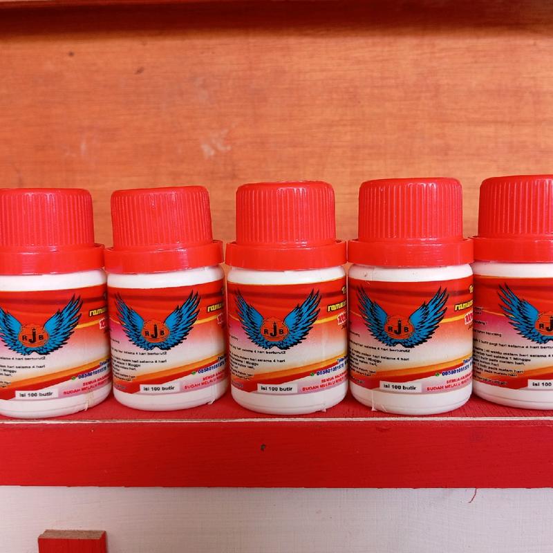 RJB UNTUK MERPATI KOLONG BEBAS 5