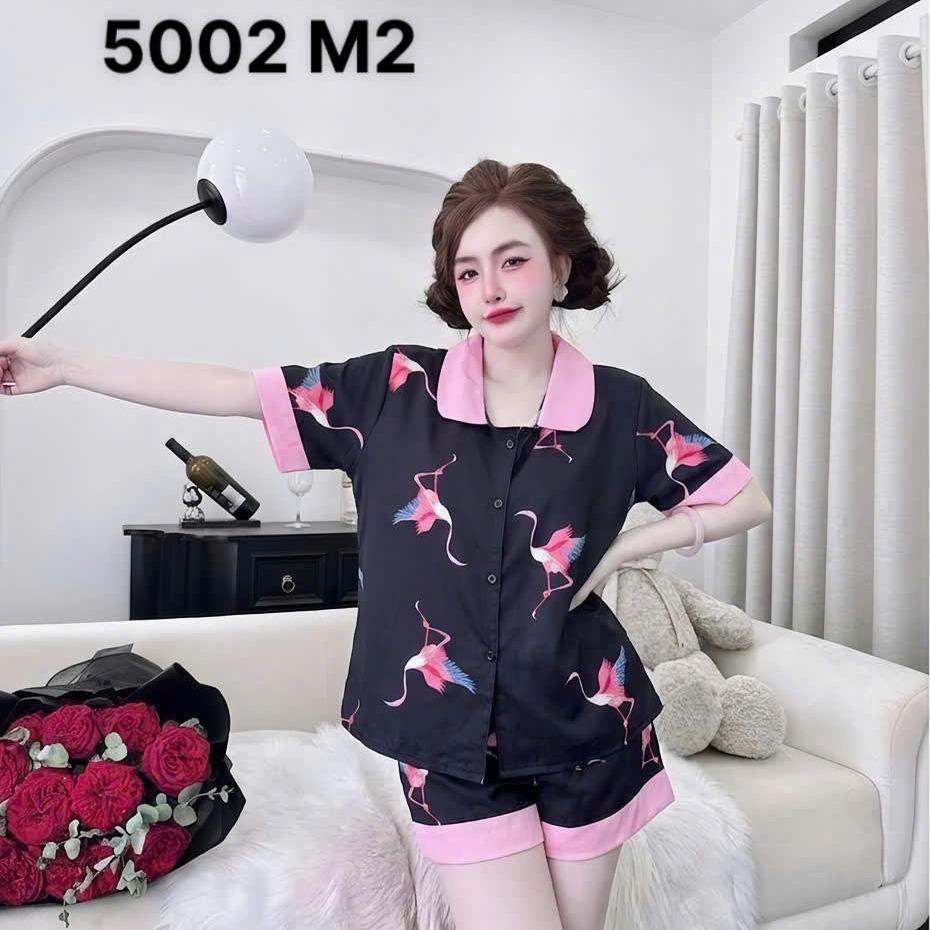 Màu 80