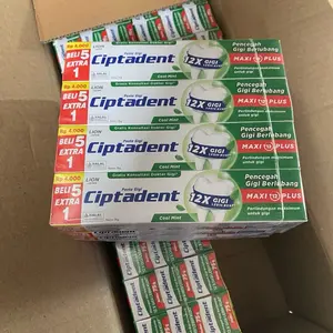 6 PCS PASTA GIGI CIPTADENT 75GR