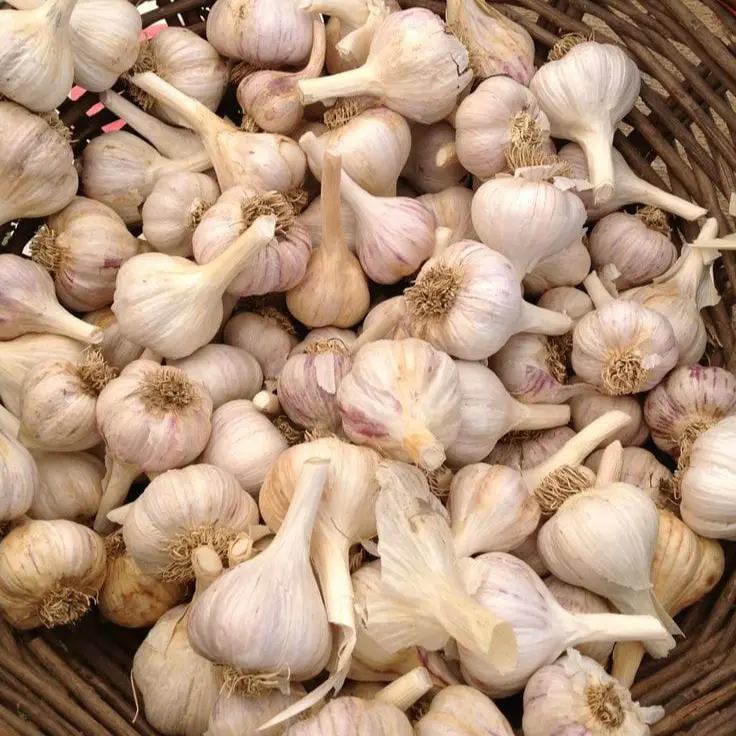 Makanan Kering Bawang Putih 1kg Kualitas Bagus - Snack - Food 0