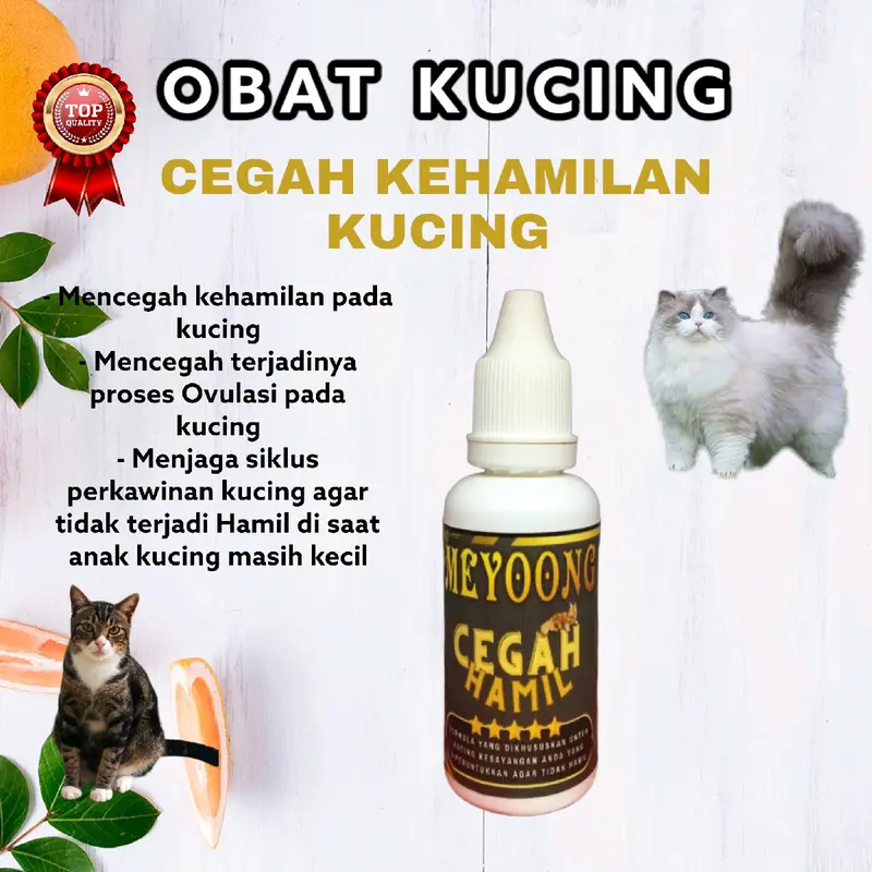 Vitamin Kucing anti hamil mencegah kehamilan Kucing 1