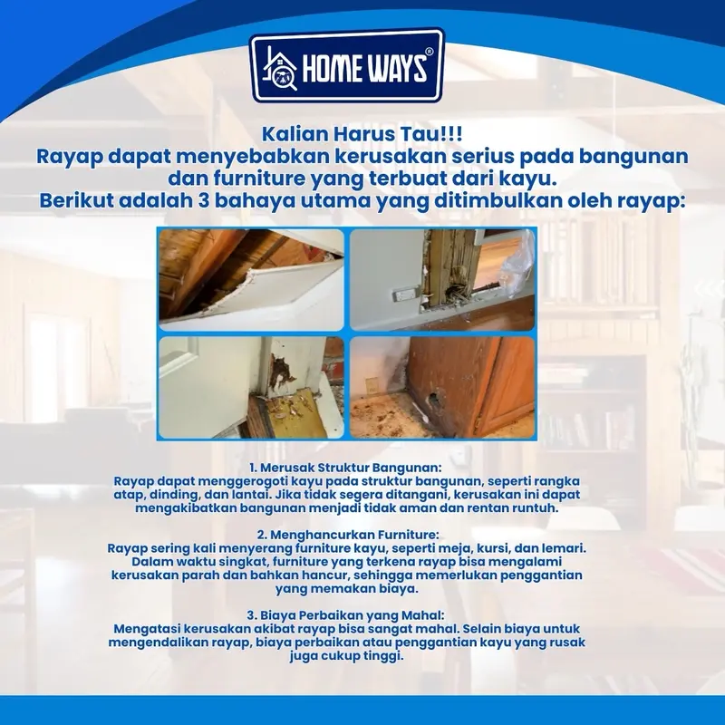 Homeways Anti Rayap Cairan Pembasmi Rayap Kayu Furniture Di Rumah 1