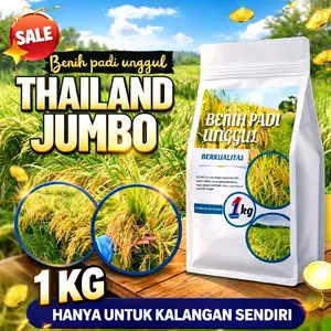 BENIH PADI UNGGUL | THAILAND JUMBO 1KG ORIGINAL