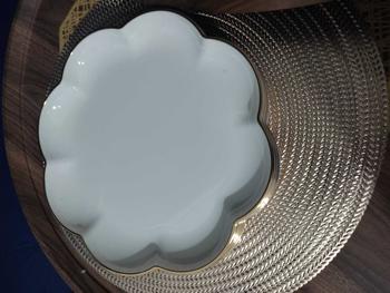 Product Review of 1pc Pinggan Makan Nasi 25cm Plastik Aesthetic Plastic Dinner Plate Elegant WhiteCream Gold Rim Ceramic Lookalike  Dish Plate Tableware from r**f 2