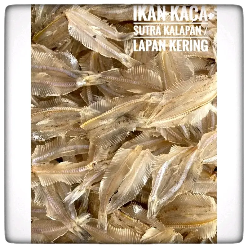 Ikan Sutra Kalapan/Lapan Kering Tawar Premium Asli Kriuk Food Pedas Goreng
