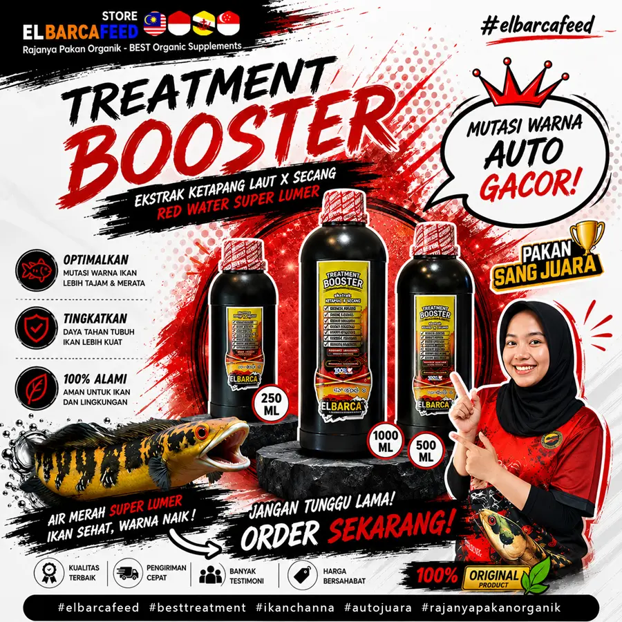 EKSTRAK KETAPANG LAUT x SECANG Mental Warna Auto naik anti mojok Channa Cupang Super lumer red water 250 ml