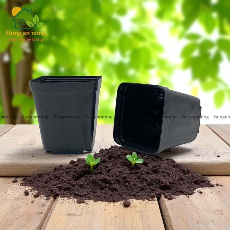 CNVDL2 - Sét 50 chậu nhựa vuông đen ươm trồng cây size 5.2x6cm
