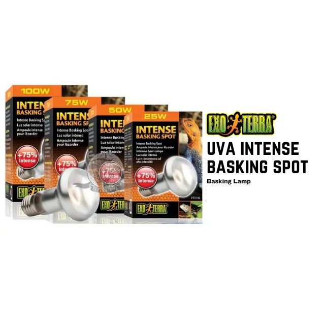 Exoterra Intense Basking UVA - Lampu Reptil Hewan bukan UVB Solarglo Hangat 25 75 50 100 w