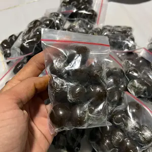 Super sibak agam alat tumpur malam 10 butir