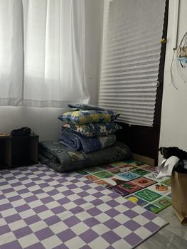 Product Review of Checkeredboard Carpet Living Room Carpet Bedroom Bedside Carpet Non Slippery Rug Floor Mat from A** 1