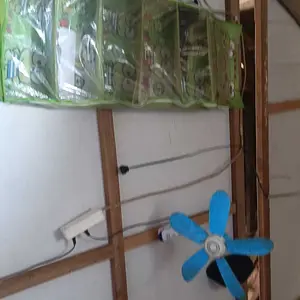 JuniorFashion Baju Setelan Tor Monitor Ketua 77 Gambar DTF Tahan Lama Bahan Rayon Lembut Ukuran S-XXL