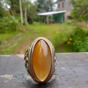 pandan nanas natural dari alam numpang co