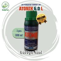 Gambar Atonik 100ml 6.0L Zat Pengatur Tumbuhan untuk Menurunkan Butir Pecah & Meningkatkan Buah Bobot Umbi Rendemen Kadar Dalam Butir - Bunga dari Baroya Tani Kab. Kediri 1 Tokopedia