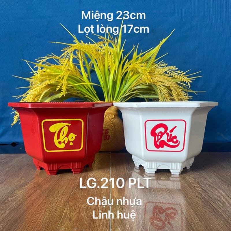    10 - 30 Cái   Chậu Nhựa Trồng Cây Lục Giác 210 in Chữ Phúc Lộc Thọ 23x15cm 