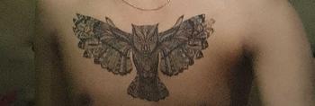 Product Review of Zaril Stiker Tatto Temporary Tato Temporer Tahan Air Tahan Lama 2-7 Hari Seri BC-202 Wanita OWL Burung Hantu Besar Kering Tatto Punggung Perut Dada Tattoo Tubuh from M**🇭 0
