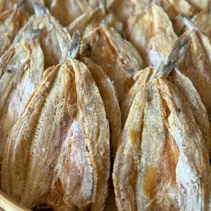 IKAN ASIN GABUS LAUT ATAU BLOSO-KUALITAS SUPER-KIRIM KERING