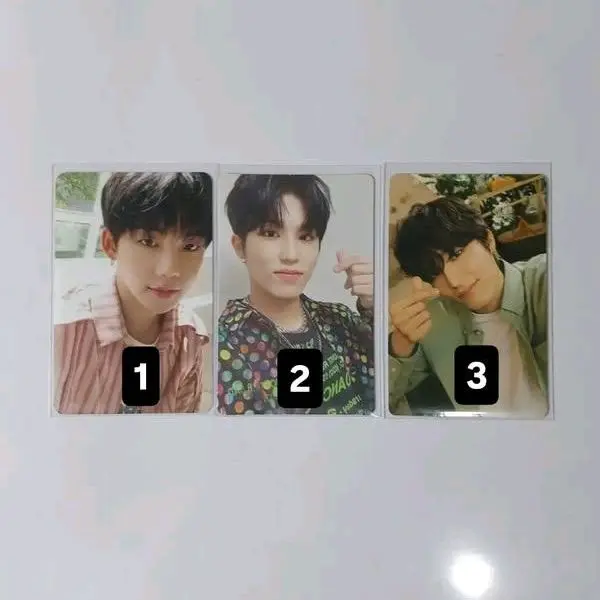 photocard TREASURE official