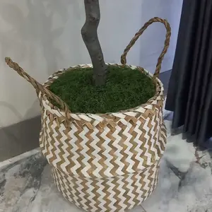 LUMUT ABADI / MOSS DRIED / LUMUT AWETAN / DEKORASI MOSS / EKORASI LUMUT KERING / LUMUT BUATAN