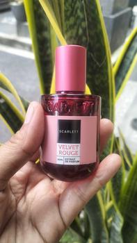 Product Review of Scarlett Whitening Extrait De Parfum 30ml from K**m 2