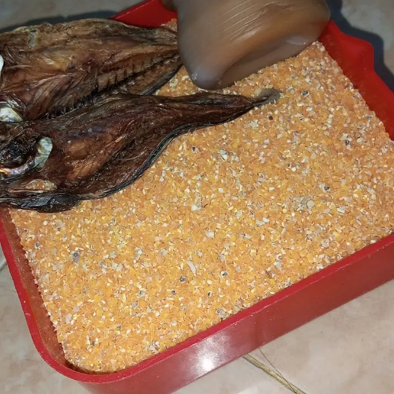 beras jagung ikan asin dan petis 2