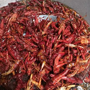 BELALANG KAYU (BESAR)  TOPLES NASTAR BERAT -+120GRAM