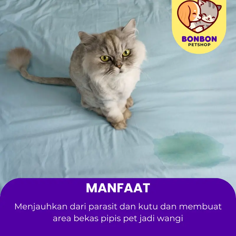Pee Clean Penghilang Bau Pesing Pipis Urin Pup Kotoran Kucing Anjing Kelinci di Lantai Pasir Sofa Pee Cleaner Ampuh Original Penghilang Bau Pipis Kucing Semprotan Wangi 1