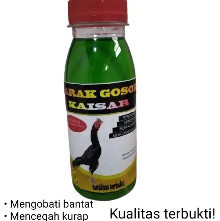 Obat gosok kaisar untuk ayam 1