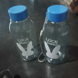 Luck Rabbit Botol Minum Plastik 500ML - Desain Lucu & Tahan Lama - Pilihan Warna Menarik untuk Anda