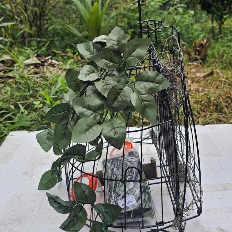  Lồng chim cu gáy form chuẩn đã lợp lá sẵn và tặng kèm áo cóng 