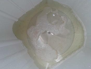Product Review of unikleen pembersih mesin cuci untuk semua jenis mesin cuci Cleaner from M**y W**i M** 3