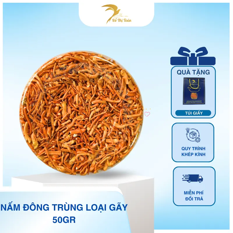 [KHO DTT] Nấm Đông trùng hạ thảo- Loại gãy- sấy thăng hoa- Yến sào Đỗ Thị Toán 1