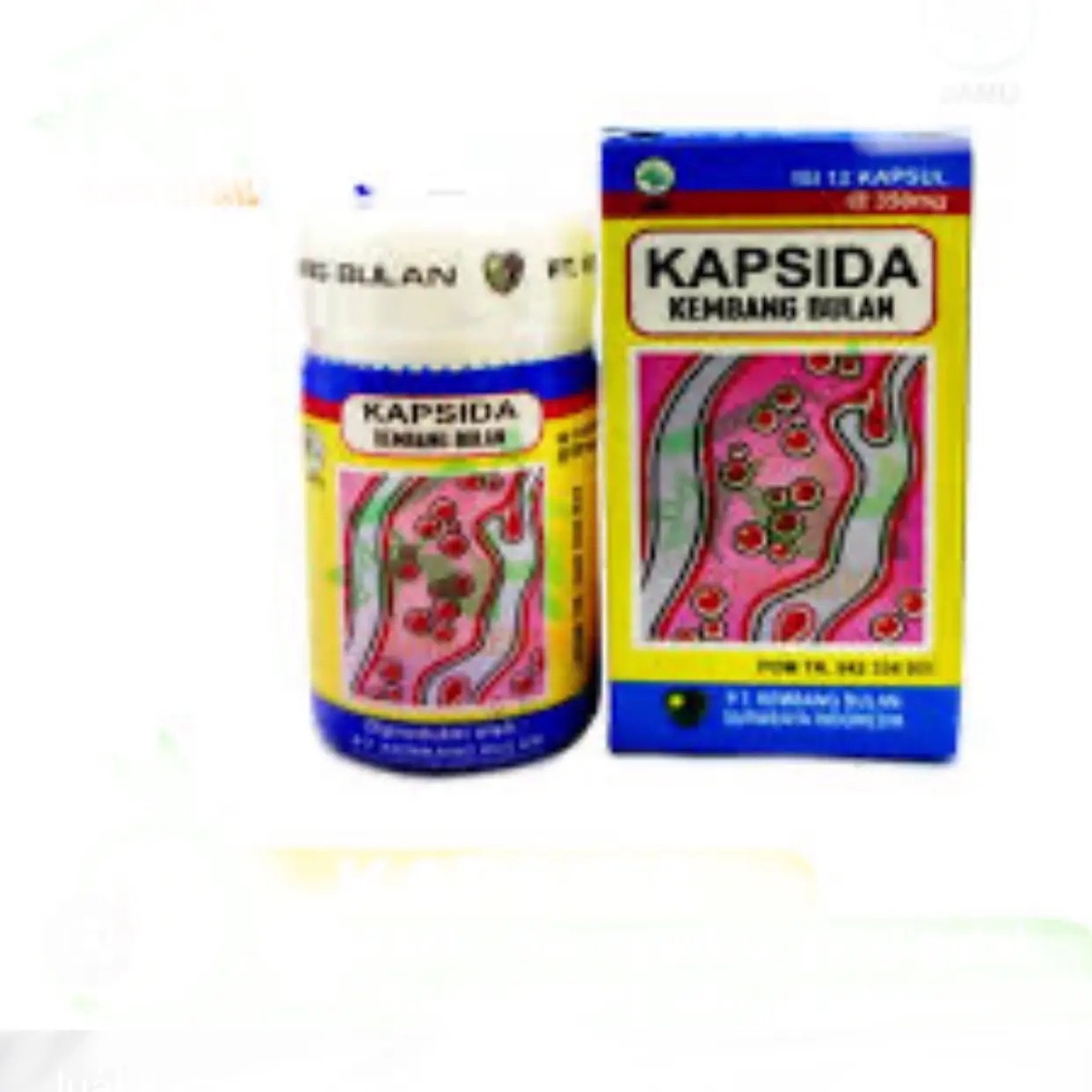 Kapsida Kembang bulan jerawat batu
