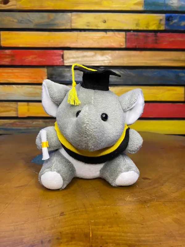 Boneka Wisuda Mini Bisa Tambah Nama Di Selempang Dan Bisa Pilih Karakter Sesuai Permintaan- Kualitas Sudah SNI Cocok Untuk Hadiah Dolls Toys 8