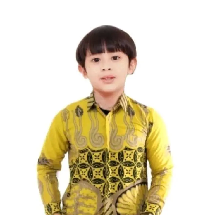 baju batik anak laki laki lengan panjang usia bayi remaja kemeja batik pekalongan viral motif bestseller