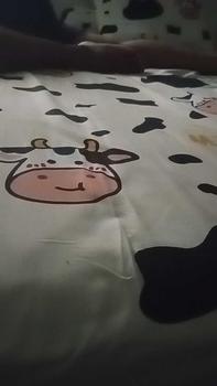 Product Review of Sprei center SPREI UKURAN 200X200 TINGGI 20 CM  Homemade Sudut Karet Set Sarung Bantal dan Sarung guling Kain Benang Seprei from l**i 0