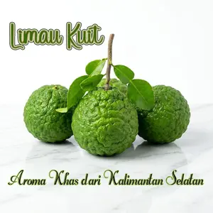 LIMAU KUIT (JERUK PURUT) khas banjar Kalimantan Selatan lebih berair dan memiliki rasa Asam yang khas