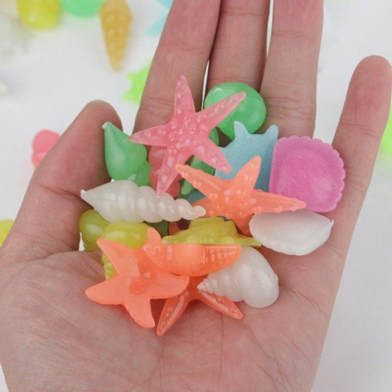 Sỏi Dạ Quang Hình Sinh Vật Biển 5 Viên - Phụ Kiện Trang Trí Cho Bể Cá Mini Chậu Cây Tiểu Cảnh