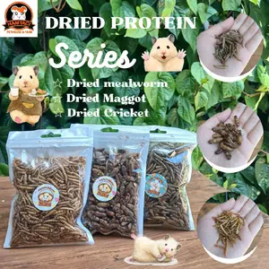 Dried mealworm, cricket & maggot protein hamster/gerbil/sugerglider/landak for daily nutrision