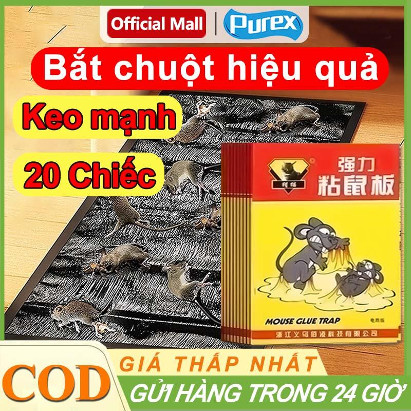 Keo Dính Chuột Siêu Dính (có mồi) Miếng Keo Bẫy Chuột Diệt Chuột, 10 Keo dán chuột Việt Nam, Miếng keo dán chuột