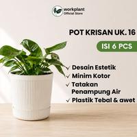 Gambar Workplant - Pot Krisan 16 (Isi 6pcs) Pot Tanaman Minimalis Estetik Bahan Awet Satu Set Tatakan Minim Kotor Untuk Semua Jenis Tanaman Tanaman Indoor Outdoor dari workplant official Kota Surabaya 1 Tokopedia
