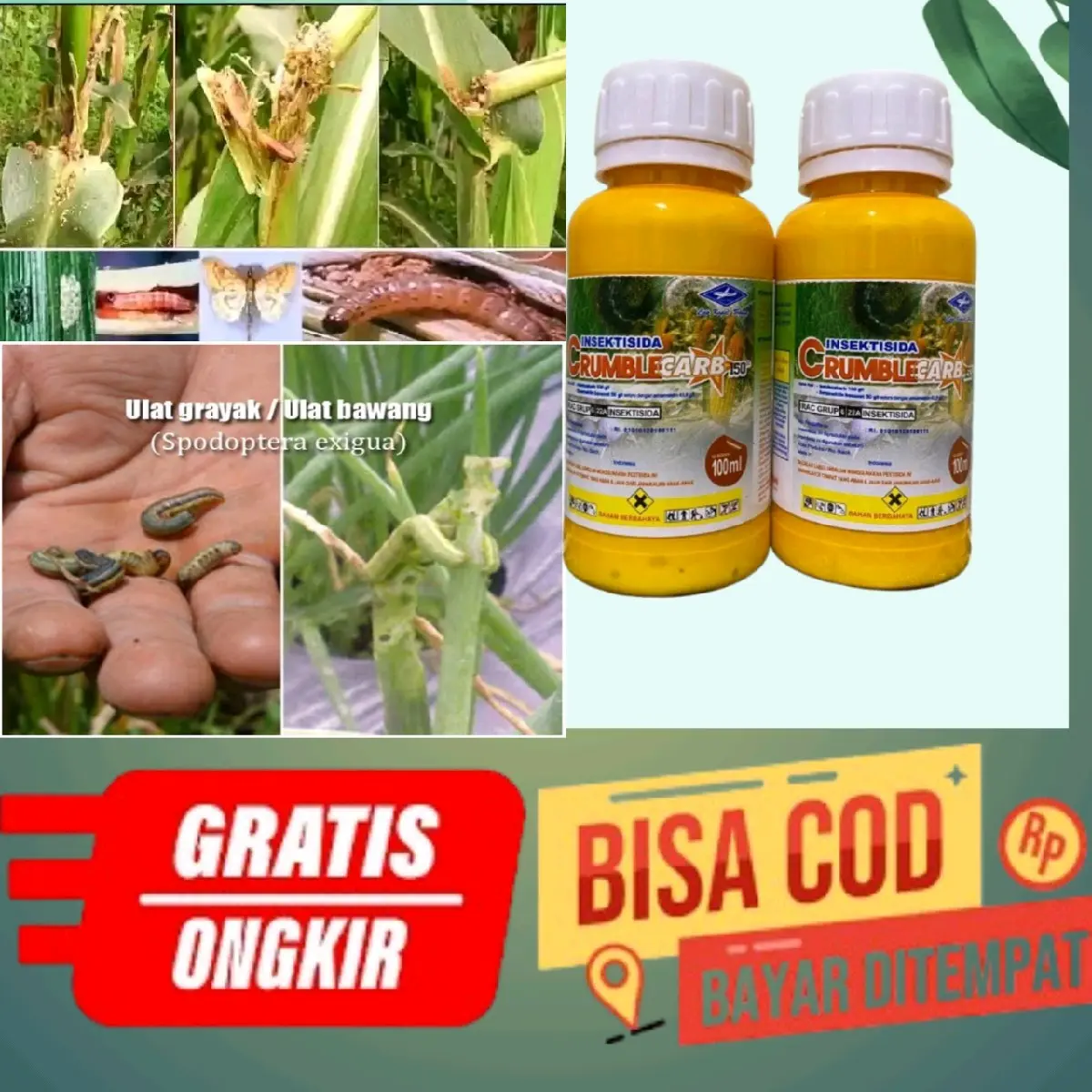 CRUMBLECARB mengendalikan hama ulat tanah, dan ulat grayak Tanaman