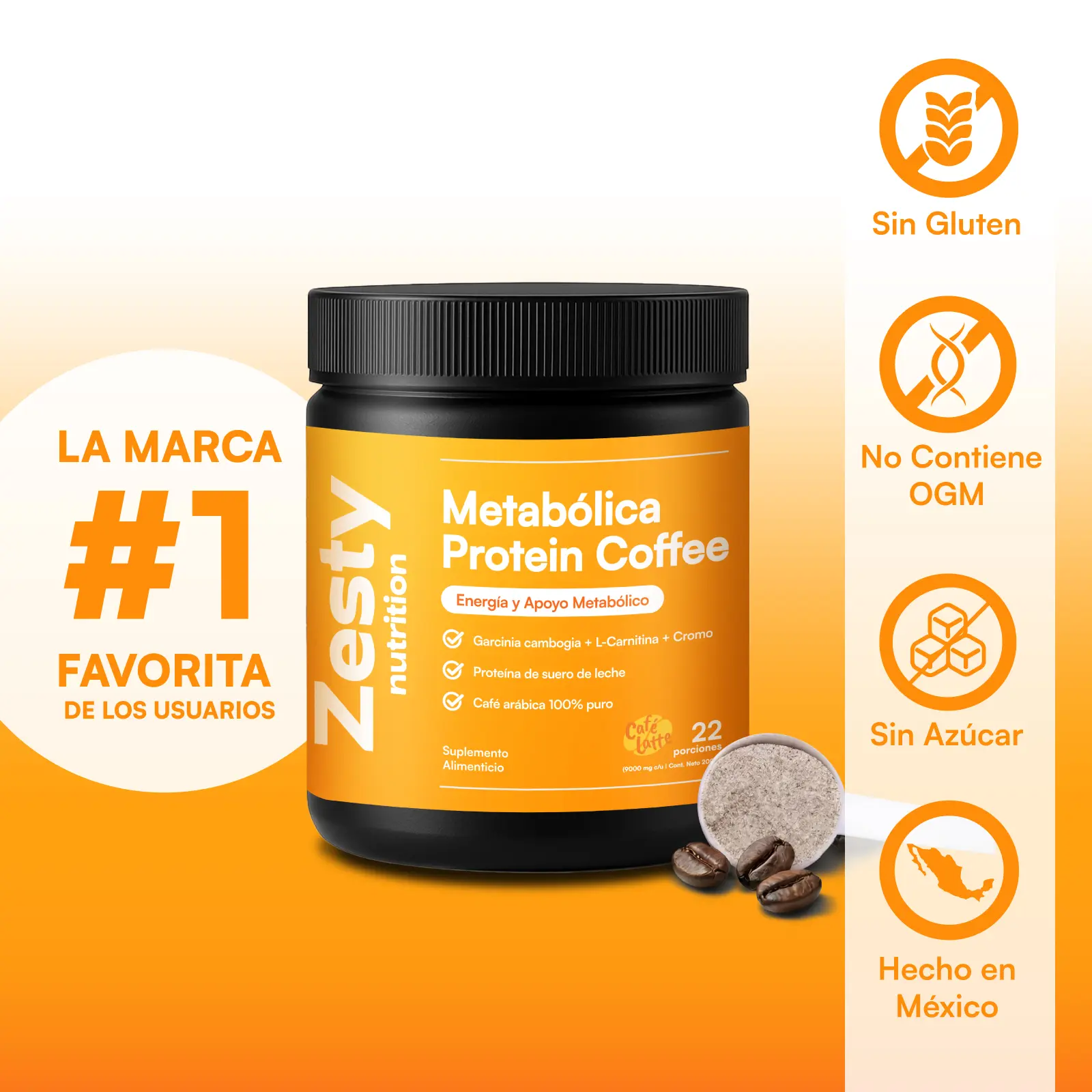 Zesty Nutrition Metablica Protein Caf - Arbica 100% Puro con L-Carnitina, Garcinia Cambogia y Cromo - Apoyo Zesty Nutrition Metablica Protein Caf - Arbica 100% Puro con L-Carnitina, Garcinia Cambogia y Cromo - Apoyo