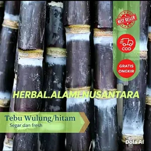 Tebu wulung asli tebu hitam berkualitas per 25 cm siap kirim