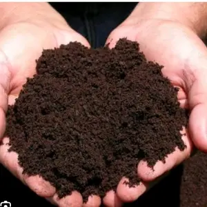 Media Tanah siap pakai 4,5 kg